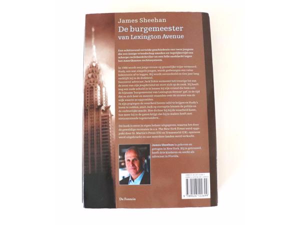 James Sheehan - De Burgemeester Van Lexington Avenue 383 blz