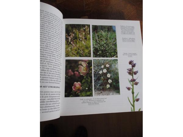 Natuur in België  -  Kust & Polders