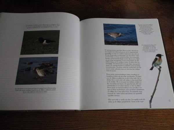 Natuur in België  -  Kust & Polders