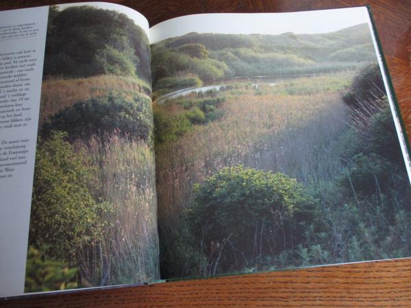 Natuur in België  -  Kust & Polders