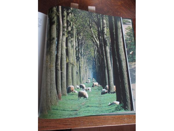 Natuur in België  -  Kust & Polders