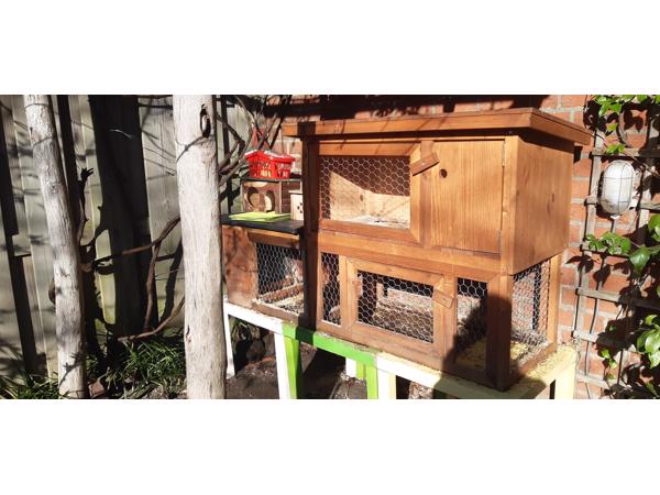 Cavia/konijnen hok incl toebehoren