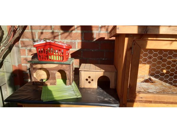 Cavia/konijnen hok incl toebehoren