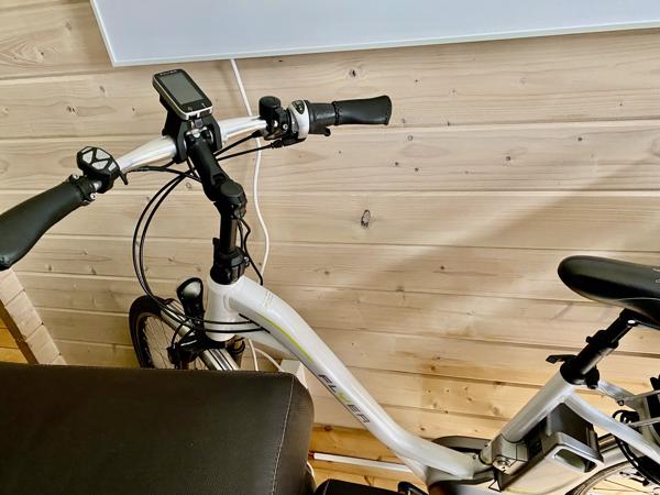 Als nieuwe Partij Elektrische Flyer Fietsen Van Raam Balance