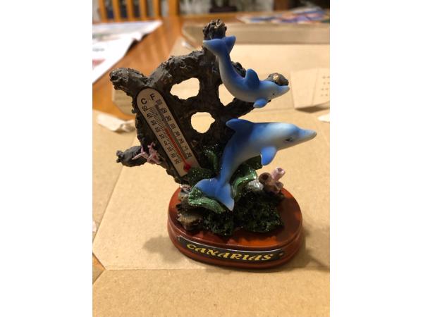 Canarias dolfijnen thermometer beeld dolfijn