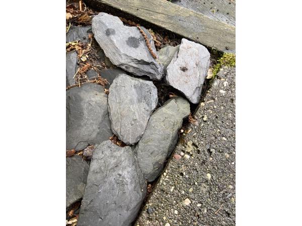 Canadian slate siersteen - 12 bigshoppers vol