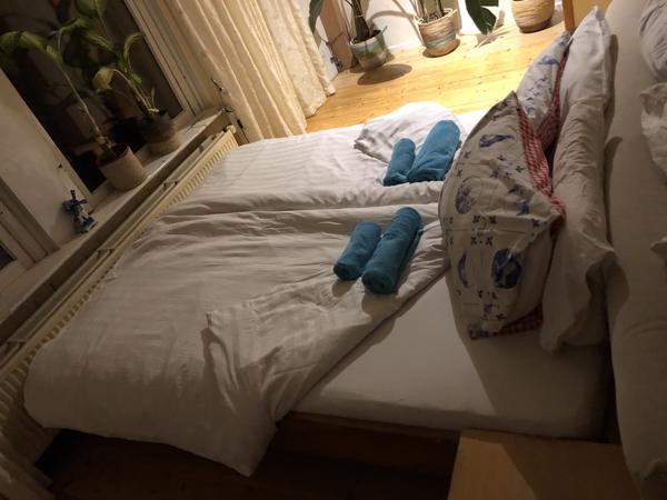 tweepersoonsbed met 2 goede mattrassen