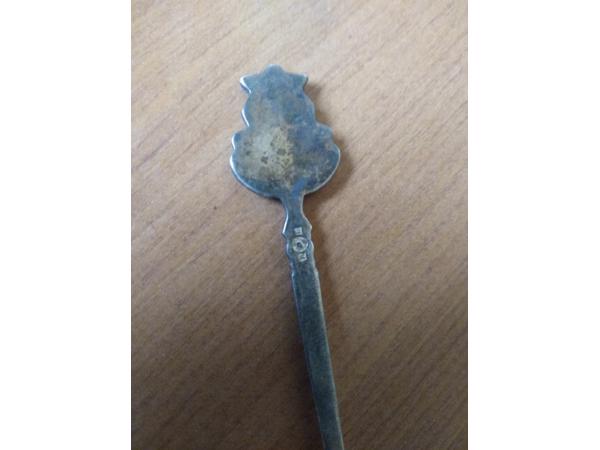 6 leuke oude theelepeltjes o.a dierenbescherming