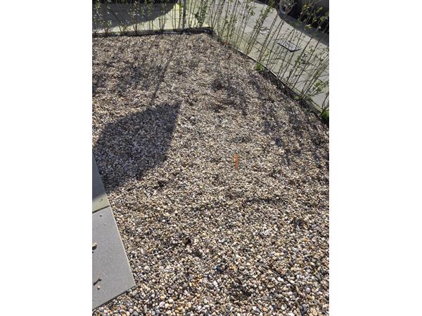 Grind ophalen gratis