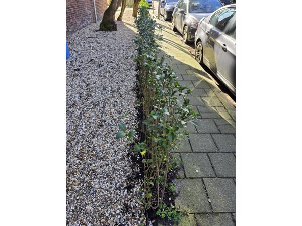 Grind ophalen gratis