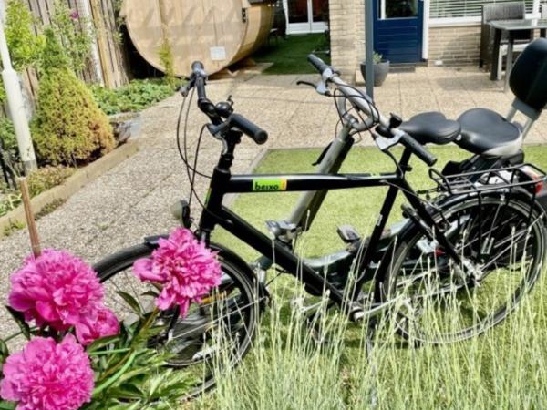 Twee Camping Fietsen van Giant Revive LX + Beixo met Cardan