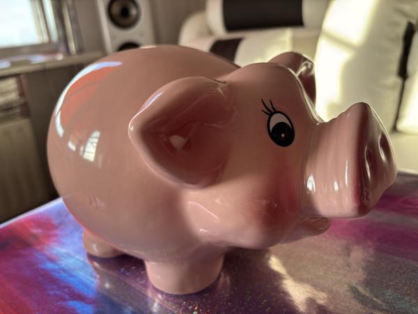 XL Vrolijke Spaarvarken (Keramiek)