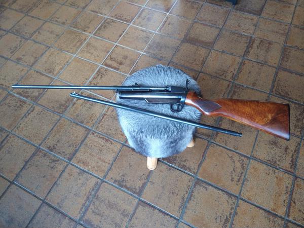 Webley Service Rifle MK2