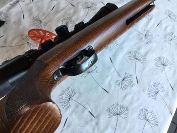 diana 35 met nieuwe  richtkijker