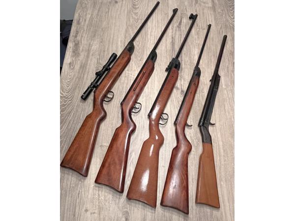 Vijf Diana luchtbuksen