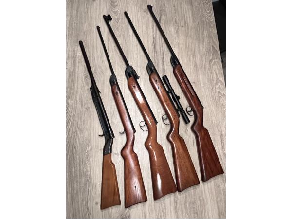 Vijf Diana luchtbuksen