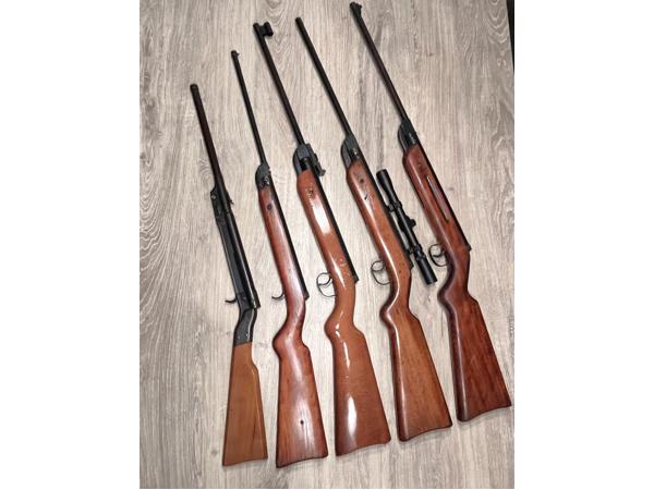 Vijf Diana luchtbuksen