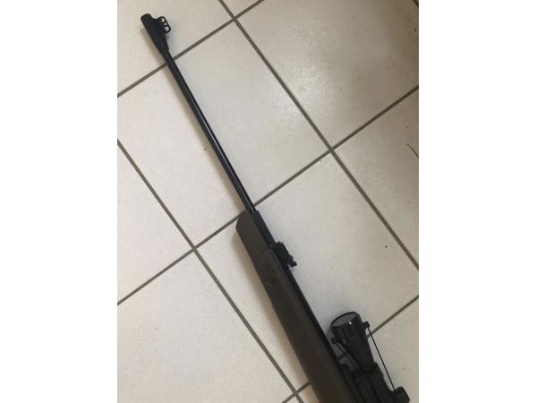 Gamo Gmagnum Jungle .25