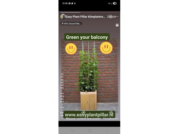 KLIMHULP voor klimmende en steunvragende planten