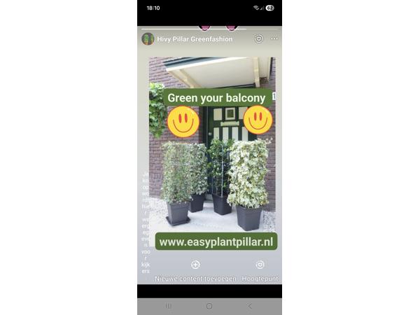 KLIMHULP voor klimmende en steunvragende planten