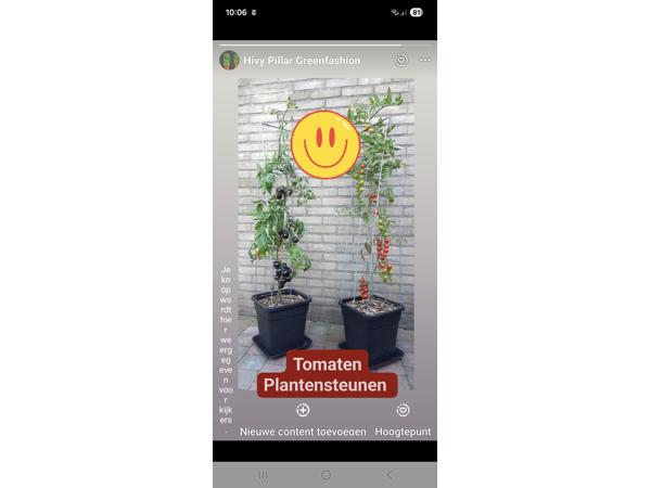 KLIMHULP voor klimmende en steunvragende planten