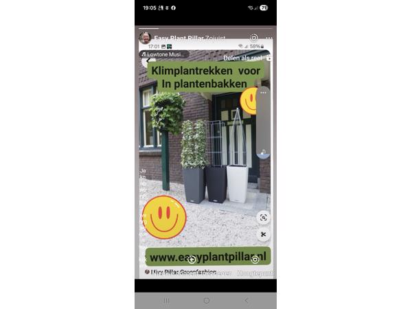 KLIMHULP voor klimmende en steunvragende planten