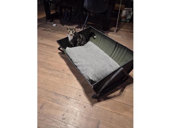 Industriele hondenmand