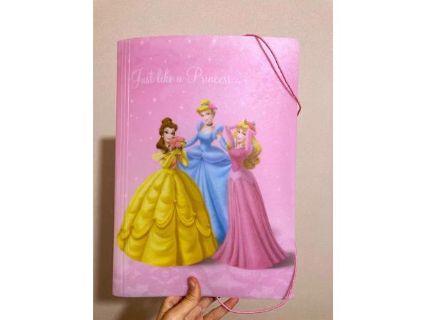 Roze Disney princessen elastomap
