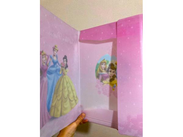 Roze Disney princessen elastomap