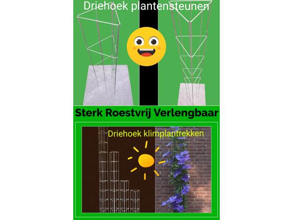 PLANT SUPPORT KOOPJES UIT LIMBURG NOORD