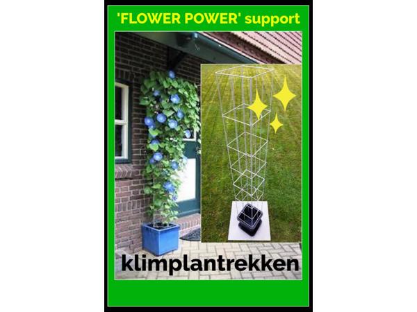 PLANT SUPPORT KOOPJES UIT LIMBURG NOORD