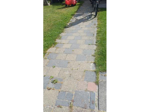 Gele en lichtblauwe tuinbestrating