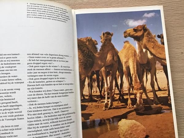 Arabië een prachtige  land met verschillende culturen TOP