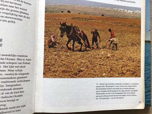 Arabië een prachtige  land met verschillende culturen TOP