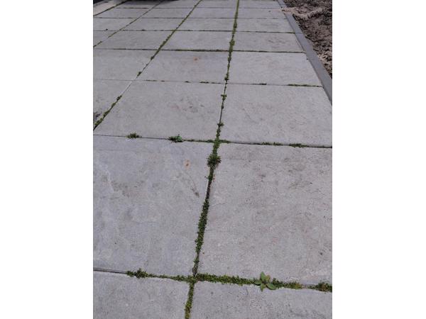Terras tegels 40 cm x 40 cm
