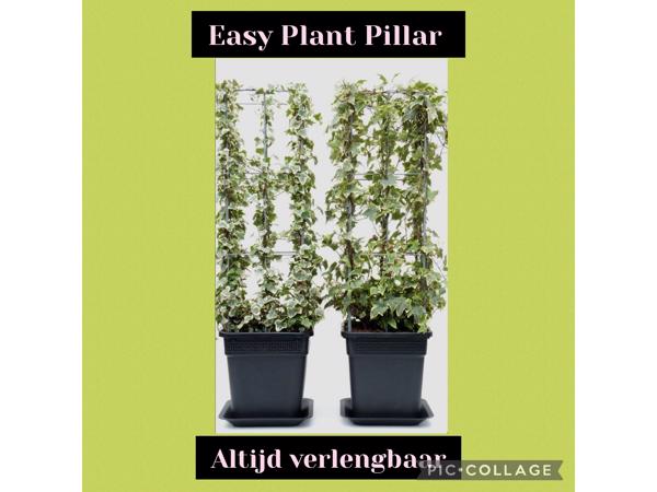 Plantenrekken voor planten te steunen tijdens de groei