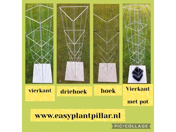 Plantenrekken voor planten te steunen tijdens de groei