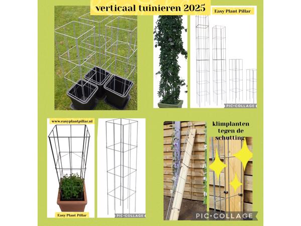 Plantenrekken voor planten te steunen tijdens de groei