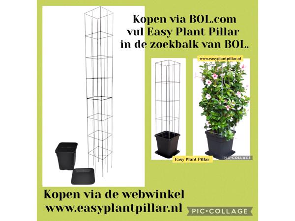 Plantenrekken voor planten te steunen tijdens de groei