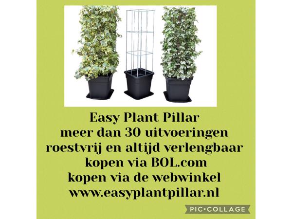 Plantenrekken voor planten te steunen tijdens de groei