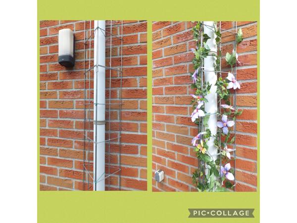 Plantenrekken voor planten te steunen tijdens de groei