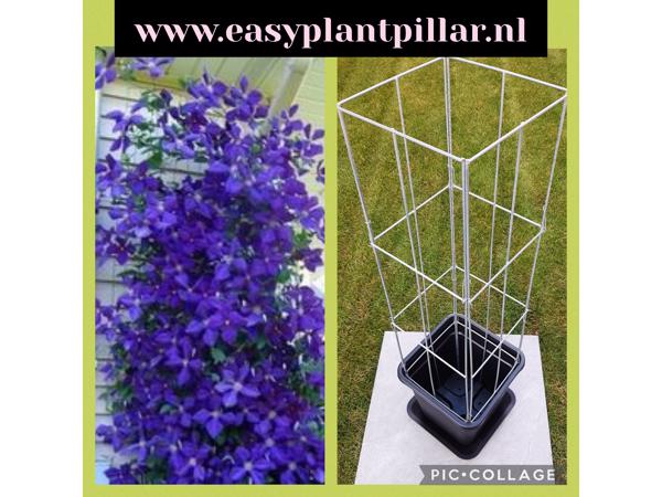 Plantenrekken voor planten te steunen tijdens de groei