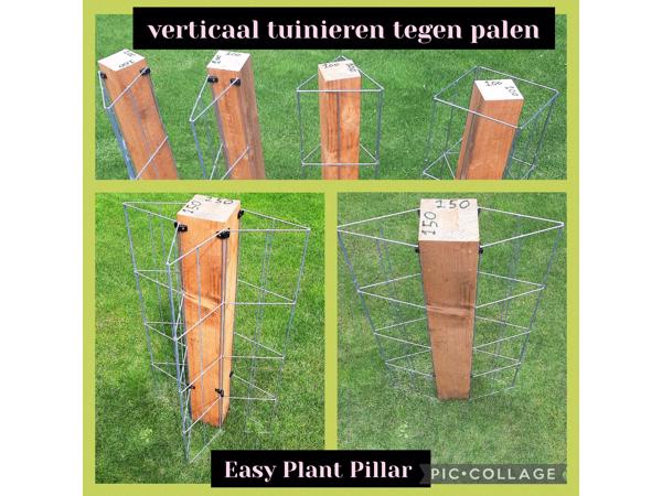 Plantenrekken voor planten te steunen tijdens de groei