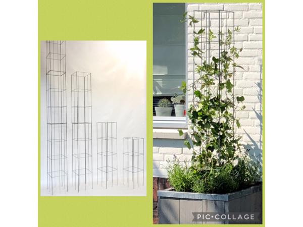 Plantenrekken voor planten te steunen tijdens de groei