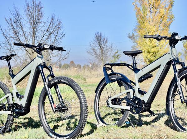 Riese Birdy Müller Elektrische Fietsen Gezocht Bakfiets ets