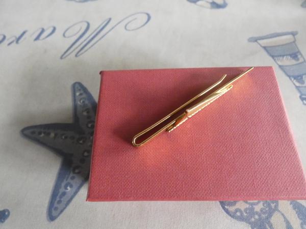 Dasspeld Erasmusbrug Rotterdam